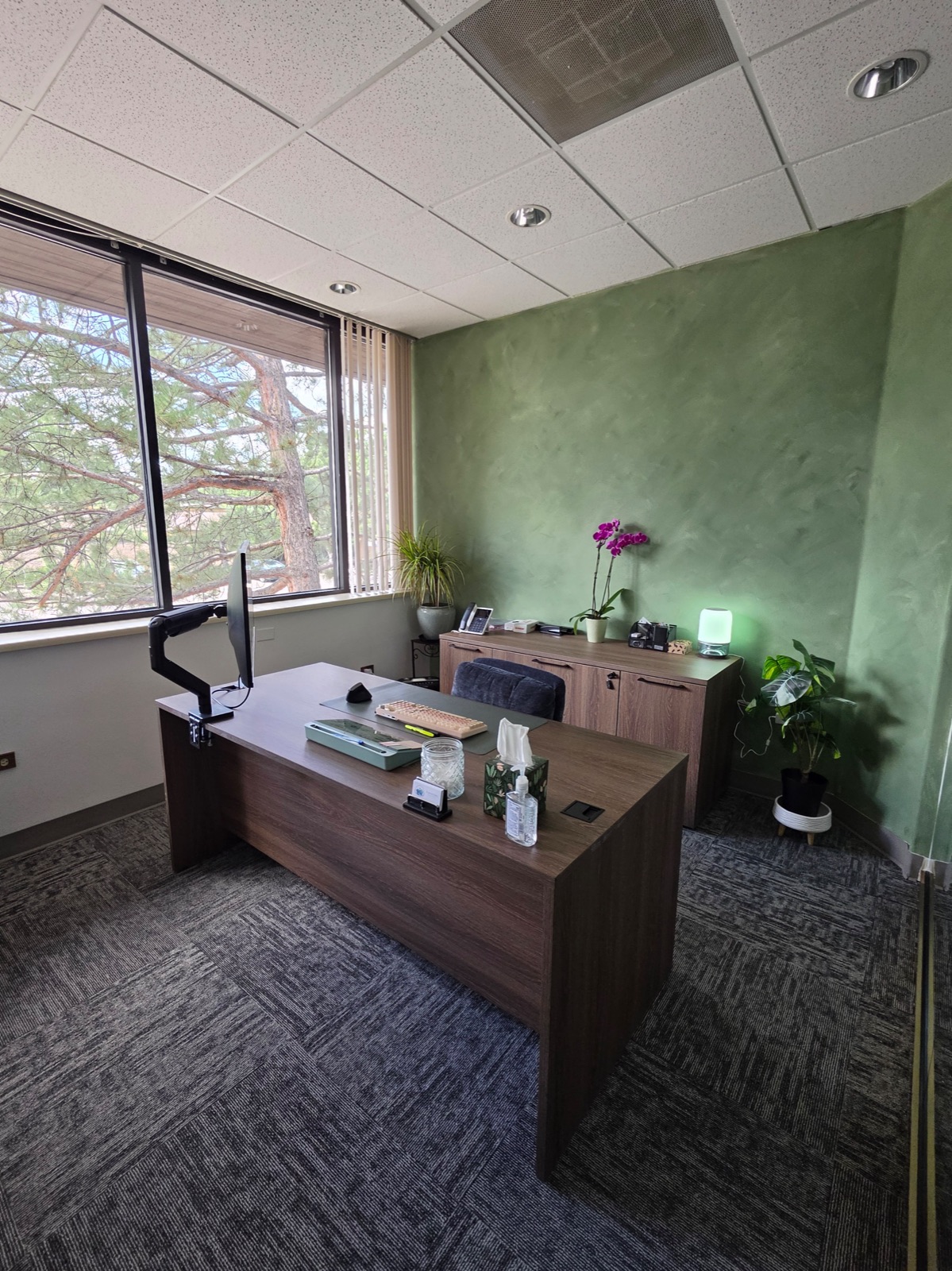 Reception office at our Littleton clinic with sage green walls and natural light