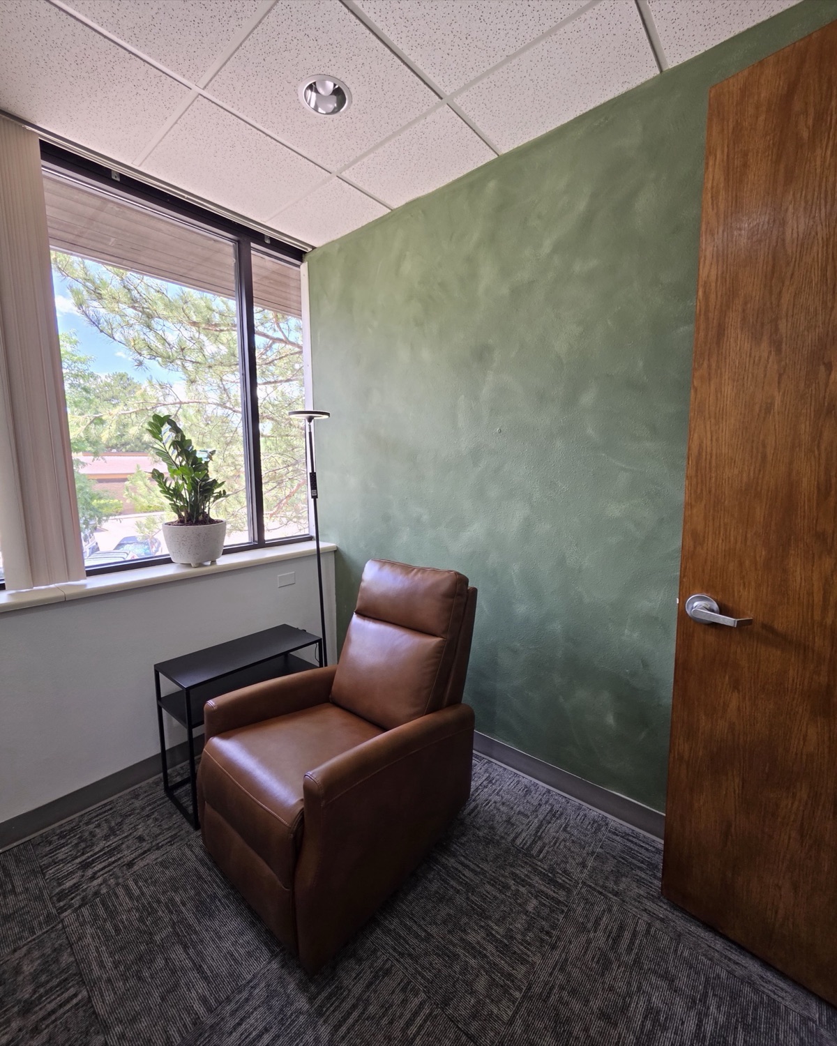 Private treatment room with a reclining leather chair, plants, and natural light